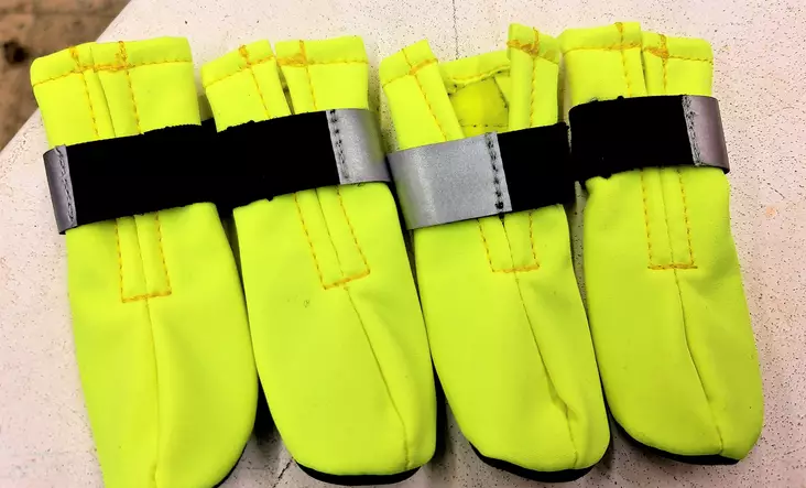 Cajadus Softshell koiran tossut neon XS - Tossut ja kengät - 4743339111073 - 1