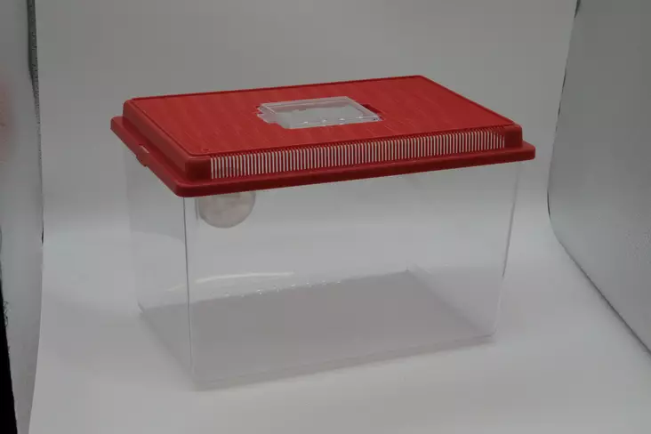 GEO terraario XL 11 L - Häkit ja terraarriot  alle 100cm - 8010690022963 - 1