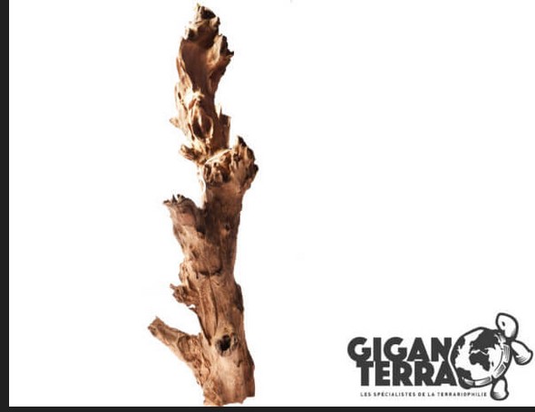 Giganterra Root Lurus L kanto - Puut, korkit ja kivet - 3664471000173 - 1