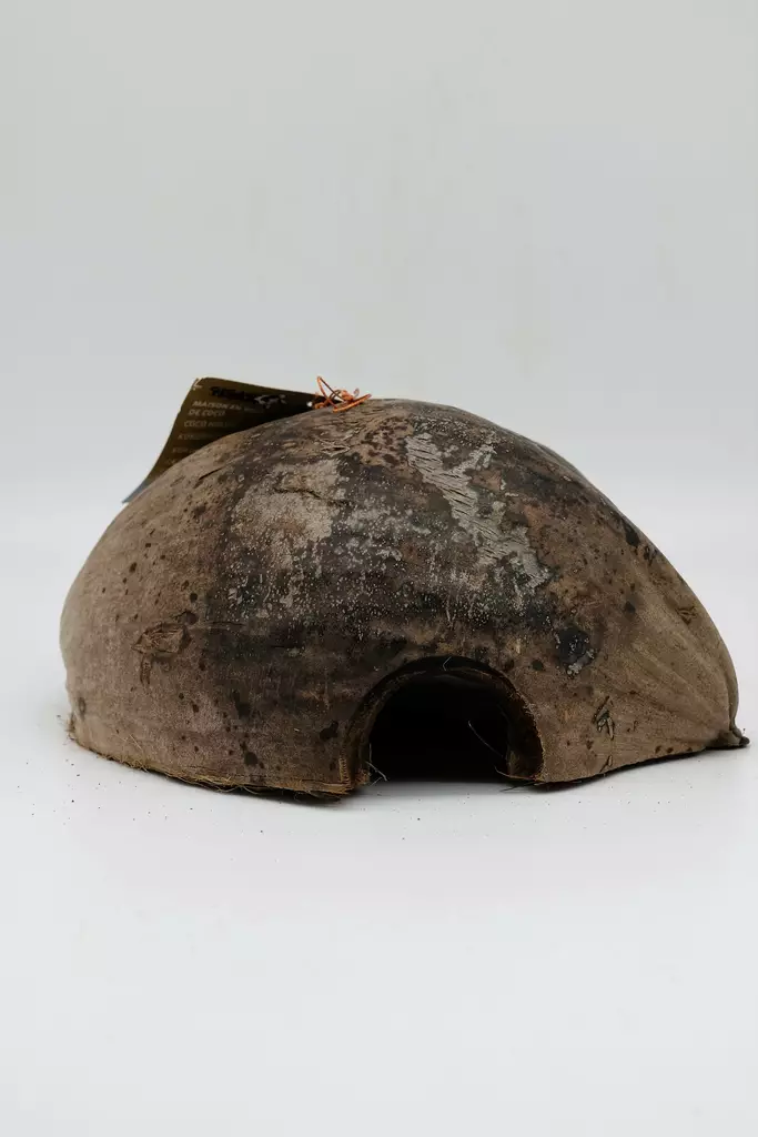 Jyrsijän talo kookospähkinän puolikas - Mökit ja pesät kaneille ja jyrsijöille - 3664471003143 - 1