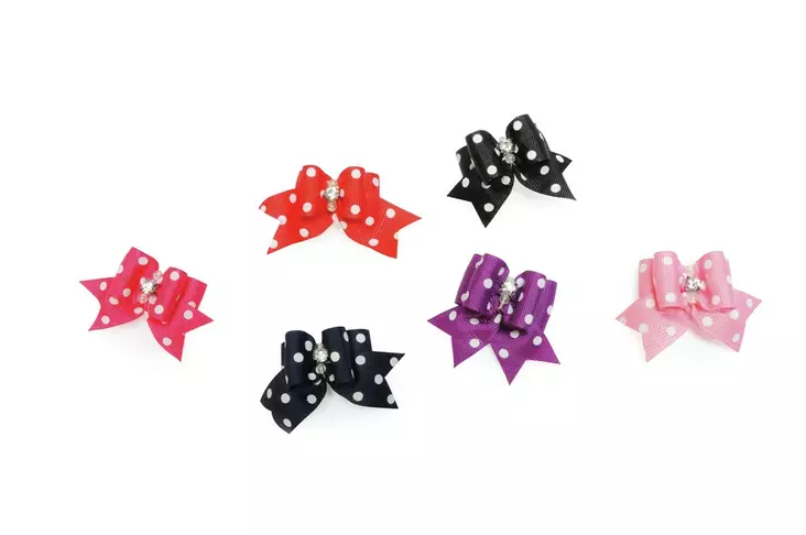 Rusetti kumilenkillä - Koiran muut ulkoilutarvikkeet - 8019808161303 - 1