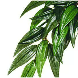 Exoterra silkkikasvi Rufus L - Tekokasvit - 015561230513 - 1