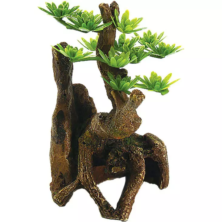 Ozami akvaariokoriste puurunko kasveilla - Akvaarion koristeet - 7330002051063 - 1