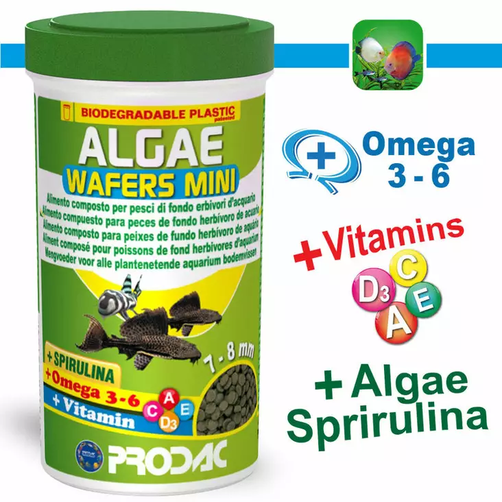 Prodac algae wafers mini 100ml/50g - Prodac kalanruoat - 8018189851933 - 1