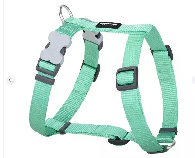 RedDingo Classics valjas Pastel vihreä - Koiran valjaat - 9330725104013 - 1