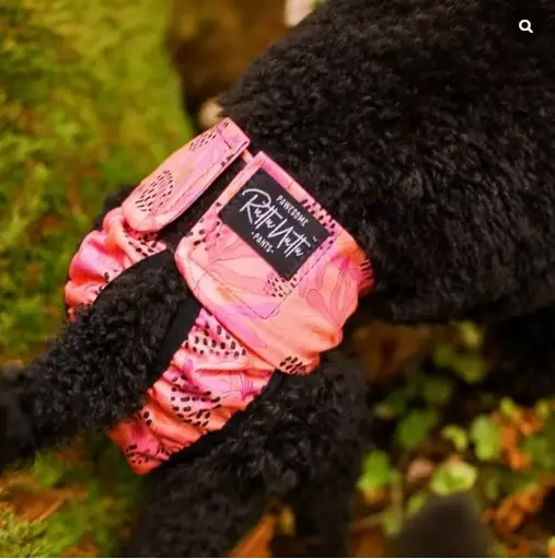 Ruttunuttu Juoksuhousut Wild Coral - Juoksuhousut ja urossuojat - 234e33 - 1