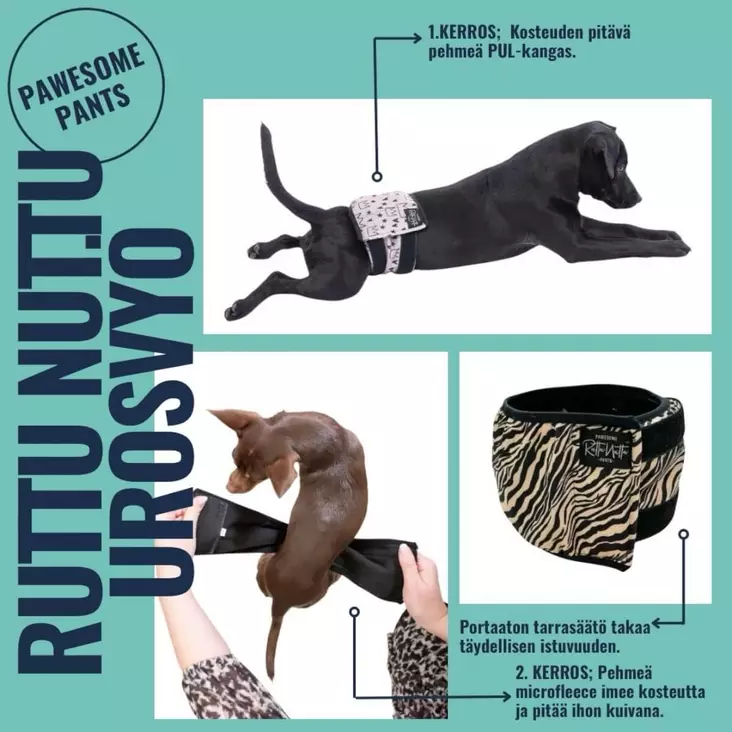 Ruttunuttu urosvyö Crowned King - Juoksuhousut ja urossuojat - 4646512123 - 1