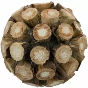 Trixie Matatabi-puu pallo - Kissan pallot - 4011905424323 - 1