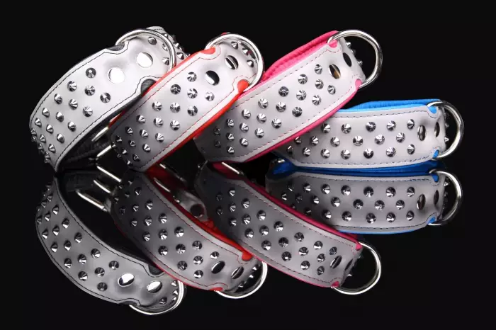 Zooleszcz Hopeinen niittipanta - Nahkapannat - 5902815490333 - 1