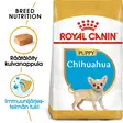 RC Breed Chihuahua Puppy - Royal Canin kuivaruoat - 3182550722544 - 2
