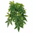 Trixie Silk Hanging Plant, Abutilon - Tekokasvit - 4011905762364 - 1