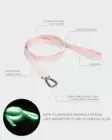 PAIKKA Glow Leash Pale Pink - Biothane taluttimet - 6430076467164 - 3