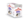 RC Sterilised Care 85g - Royal Canin märkäruoat - 9003579008744 - 1