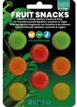 Repto Fruit snacks 4 flavour mix - Matelijoiden ruoat - 8715897351334 - 1