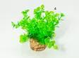 Zolux Muovikasvi lajitelma s - Akvaarion koristeet - 3336023537504 - 4