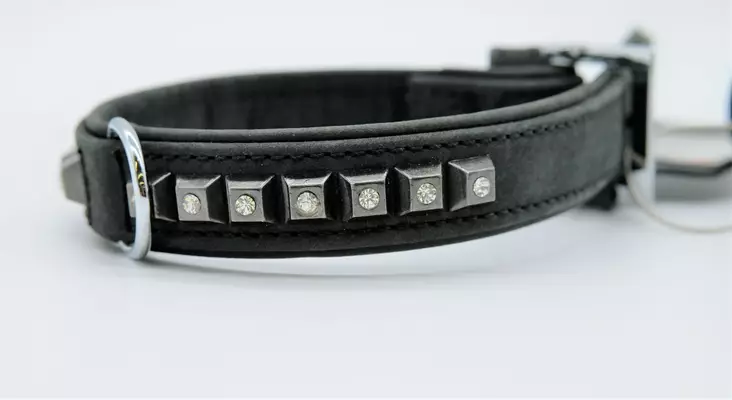 Karlie Buffalo Rock strassipanta - Nahkapannat - 4016598091494 - 1