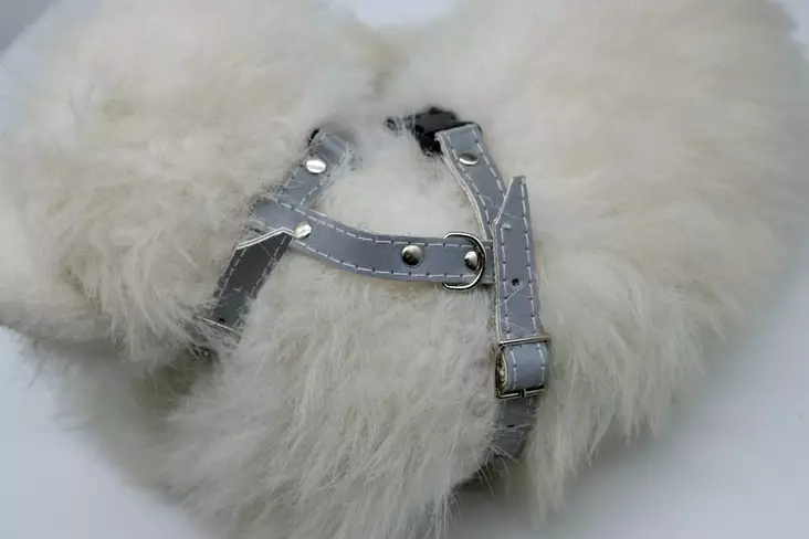 Kesomaa Heijastinvaljas pikalukolla - Kissan pannat, valjaat ja taluttimet - 6430020130274 - 1