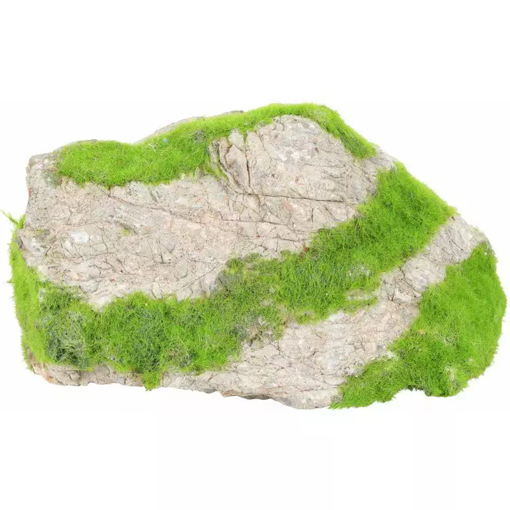 KiPouss Kivi Harmaa Siemenillä - Akvaarion kivet - 3336023560724 - 1