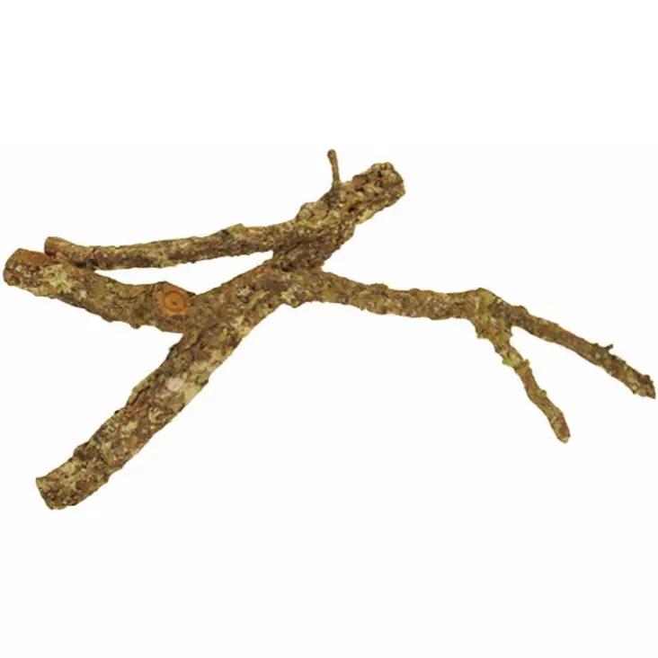 Korkkitammen oksa 70-90cm - Puut, korkit ja kivet - 4260092575244 - 1