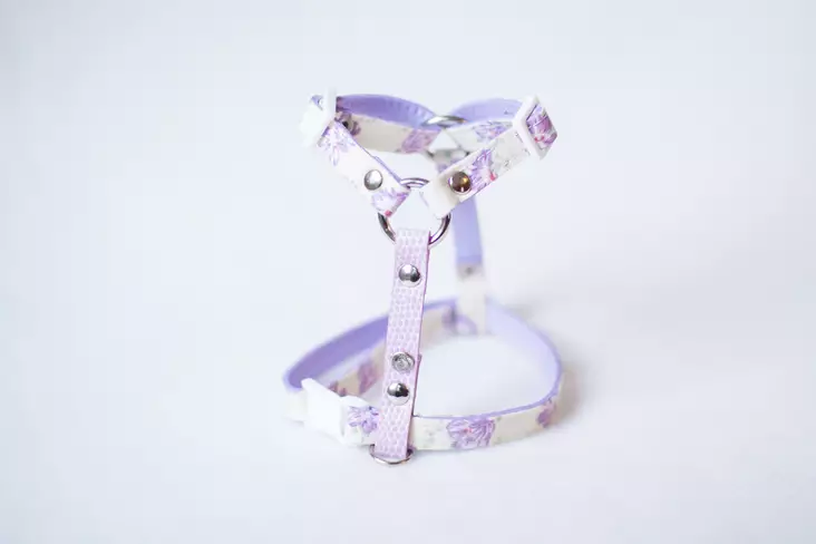 Lavellas Y-valjaat S - Kanien valjaat - 11335344 - 1