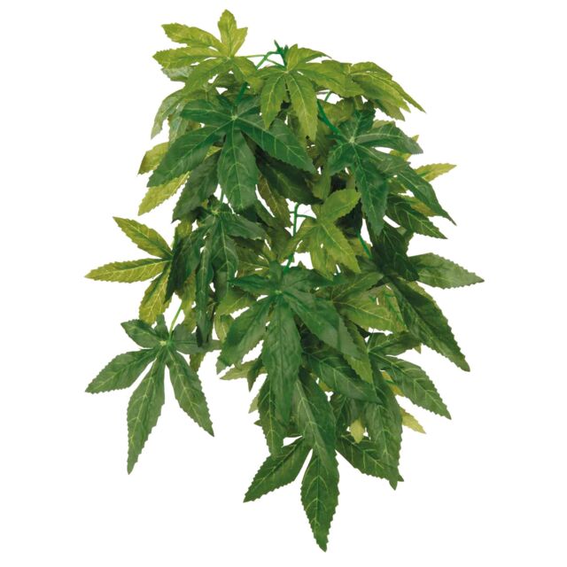 Trixie Silk Hanging Plant, Abutilon - Tekokasvit - 4011905762364 - 1