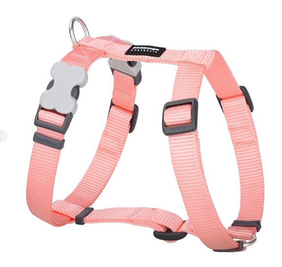 RedDingo Classics Pastel Orange - Koiran valjaat - 9330725105164 - 1