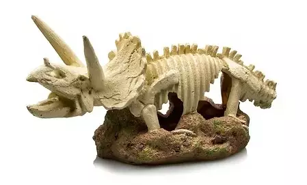 Giganterra Triceratops - Akvaarion koristeet - 3664471007714 - 1
