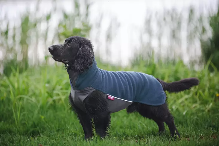 Jumppapomppa Midnight - Paidat ja neuleet - 6430066790944 - 1