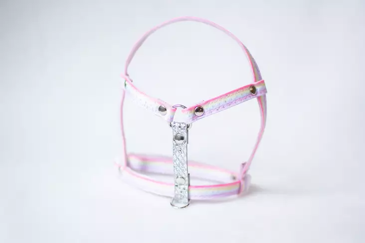 Lavellas Lapavaljas S/M - Kanien valjaat - 11335354 - 4