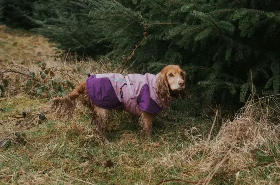 Non-Stop Glacier Jacket 3.0, violetti - Takit ja manttelit - 7071652325684 - 1