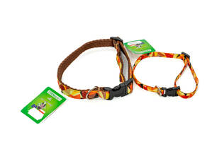 Koiran kaulapanta Zooleszcz Autumn - Tekstiilipannat - 5902815497905 - 1