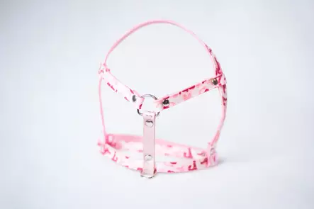 Lavellas Lapavaljas M - Kanien valjaat - 11335355 - 2