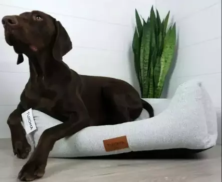 Tujoma Vaimere kylmänharmaa M grande 81 - Koiran pedit - 6430035770885 - 1