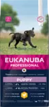 Eukanuba Puppy Large chicken - Eukanuba kuivaruoat - 8710255122465 - 1