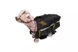 Pets carry kantolaukku S - Koiran häkit ja kuljetustuotteet - 700603005845 - 1