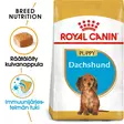RC Breed Dachshund Puppy - Royal Canin kuivaruoat - 3182550722575 - 2