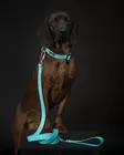 PAIKKA Glow Leash Aqua - Biothane taluttimet - 6430076467195 - 4