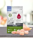 Platinum chicken mini puppy - Muut koiran kuivaruoat - 4260208742645 - 1