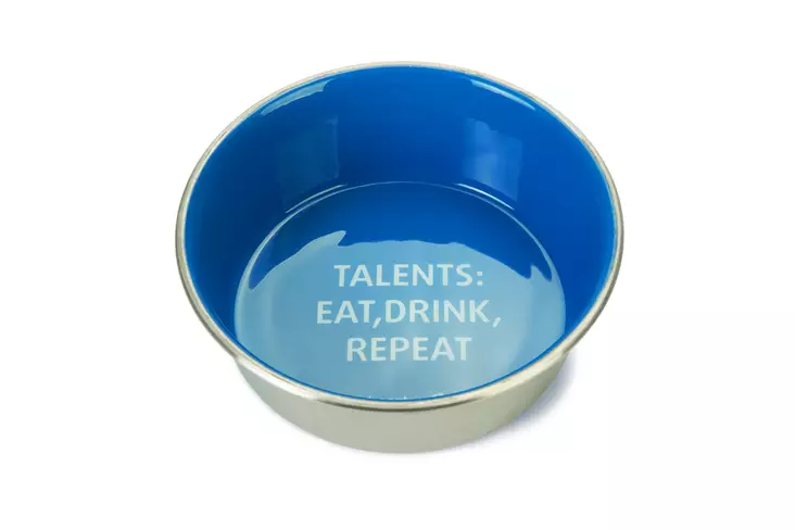 BZ Metallikuppi Talents Sininen - Koiran metalliset ruokakupit - 8712695179795 - 1