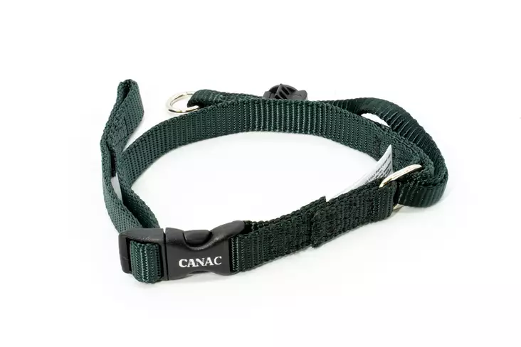 Canny Collar - Koiran vedonestopannat - 5060086560015 - 1