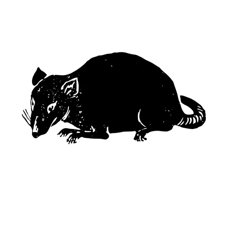 EM Rotta S pakaste 90-150g 10kpl - Pakasteruoat - 356412555 - 1