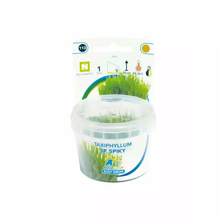 Easy Grow Piikkisammal - Akvaariokasvit - 8715897322815 - 2