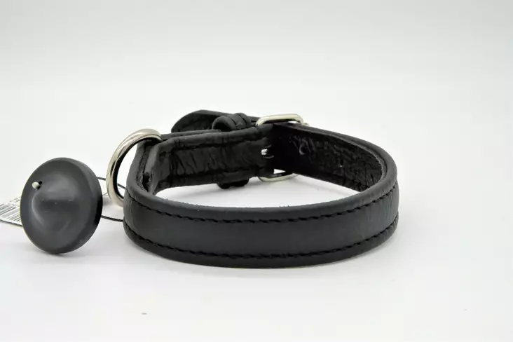 Julius K9 nahkapanta 25mm - Nahkapannat - 5999053642525 - 1