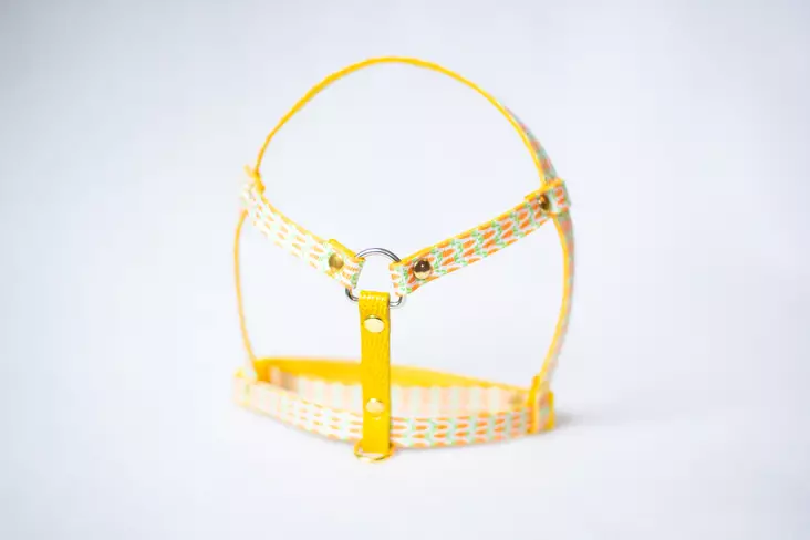 Lavellas Lapavaljas M - Kanien valjaat - 11335355 - 1