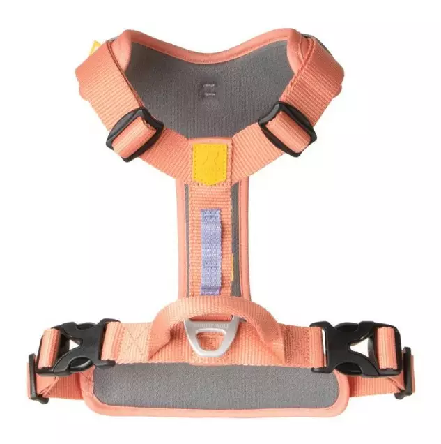 Woolly Wolf Roam Valjaat salmon - Koiran valjaat - 6430072389095 - 1