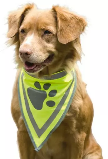 BZ heijastinhuivi l 46-60cm, 25mm - Koiran heijastinliivit ja -tuotteet - 8712695119845 - 2