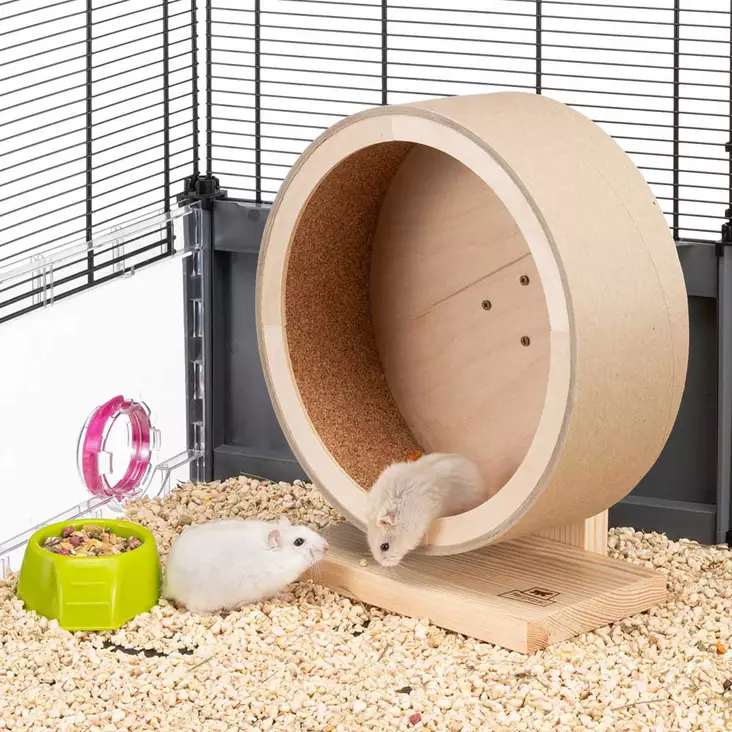 Ferplast juoksupyörä Arcade 25 - Jyrsijän ja kanin aktivointi - 8010690184685 - 1