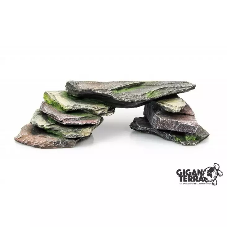 Giganterra Kivisilta - Kallot ja koristeet - 3664471002085 - 1