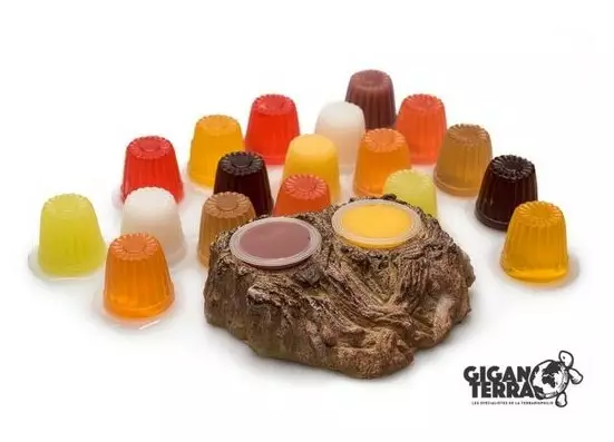 Giganterra Puinen jellyteline - Ruokakupit ja vesikulhot - 3664471002825 - 1