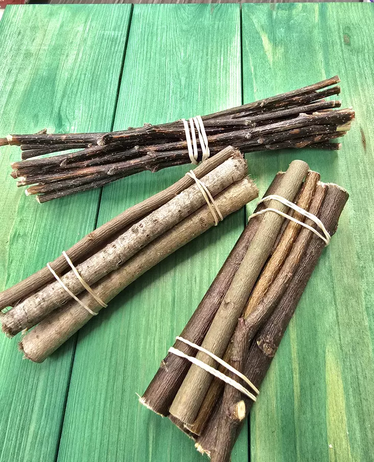 Hoikan Herkku Haapaniput - Jyrsijän ja kanien purutikut - 22334445 - 1